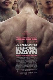 炼狱信使A Prayer Before Dawn(2017)插图%4K电影下载_3D影视资源_杜比视界迅雷下载