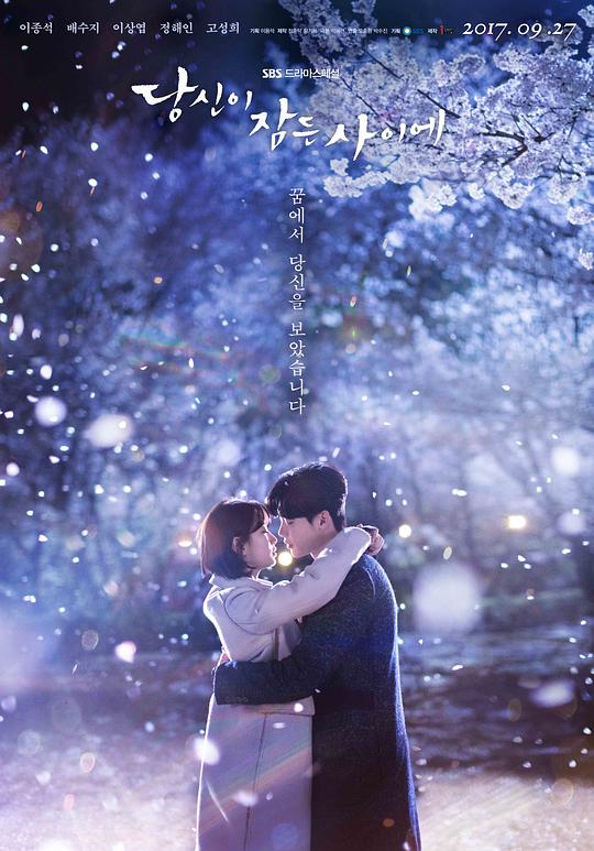 当你沉睡时While You Were Sleeping(2017)插图%4K电影下载_3D影视资源_杜比视界迅雷下载