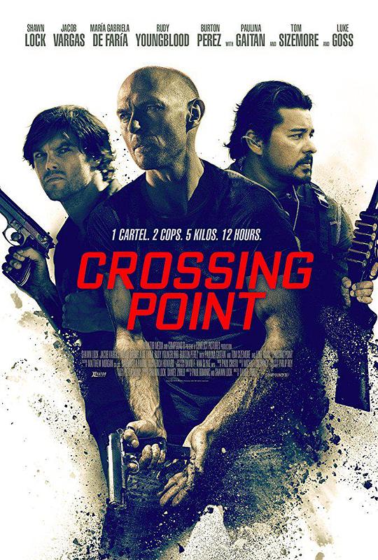 交叉封锁线Crossing Point(2016)插图%4K电影下载_3D影视资源_杜比视界迅雷下载