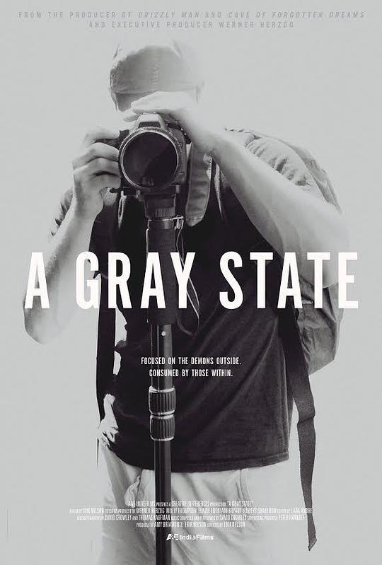 灰色国度A Gray State(2017)插图%4K电影下载_3D影视资源_杜比视界迅雷下载