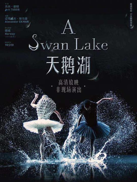 天鹅湖A Swan Lake(2014)插图%4K电影下载_3D影视资源_杜比视界迅雷下载