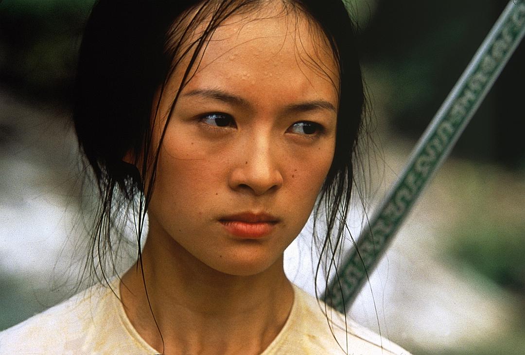 卧虎藏龙Crouching Tiger, Hidden Dragon(2000)插图2%4K电影下载_3D影视资源_杜比视界迅雷下载