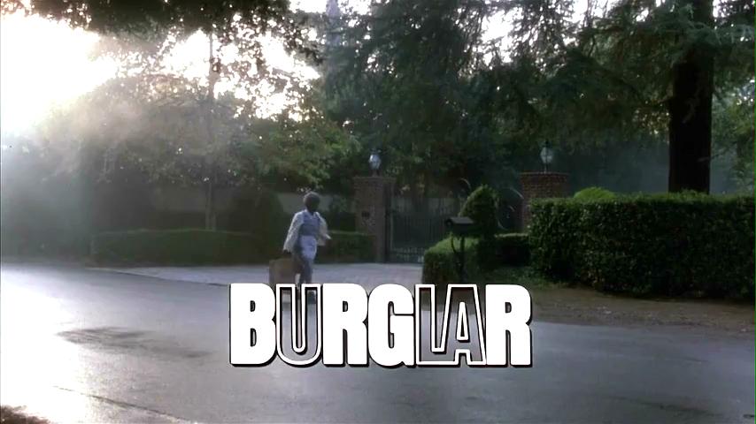 妙贼追凶Burglar(1987)插图1%4K电影下载_3D影视资源_杜比视界迅雷下载