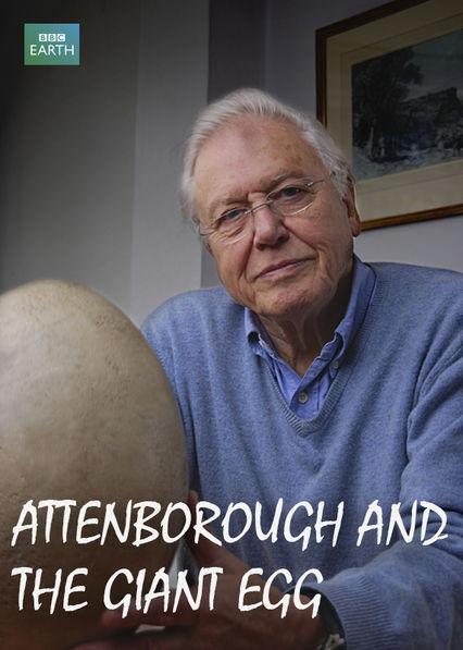 爱登堡与巨蛋"Madagascar" Attenborough and the Giant Egg(2011)插图%4K电影下载_3D影视资源_杜比视界迅雷下载