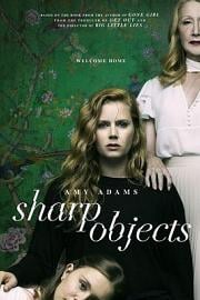 利器Sharp Objects(2018)插图%4K电影下载_3D影视资源_杜比视界迅雷下载