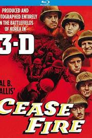 停火Cease Fire!(1953)插图%4K电影下载_3D影视资源_杜比视界迅雷下载