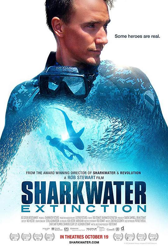 鲨鱼海洋：灭绝Sharkwater Extinction(2018)插图%4K电影下载_3D影视资源_杜比视界迅雷下载