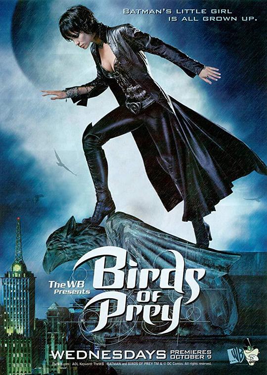 猛禽小队Birds of Prey(2002 – 2006)插图%4K电影下载_3D影视资源_杜比视界迅雷下载