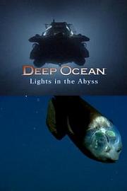 深海：深渊之光Deep Ocean: Lights in the Abyss(2016)插图%4K电影下载_3D影视资源_杜比视界迅雷下载