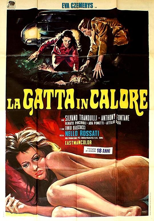 春情野猫La gatta in calore(1972)插图%4K电影下载_3D影视资源_杜比视界迅雷下载