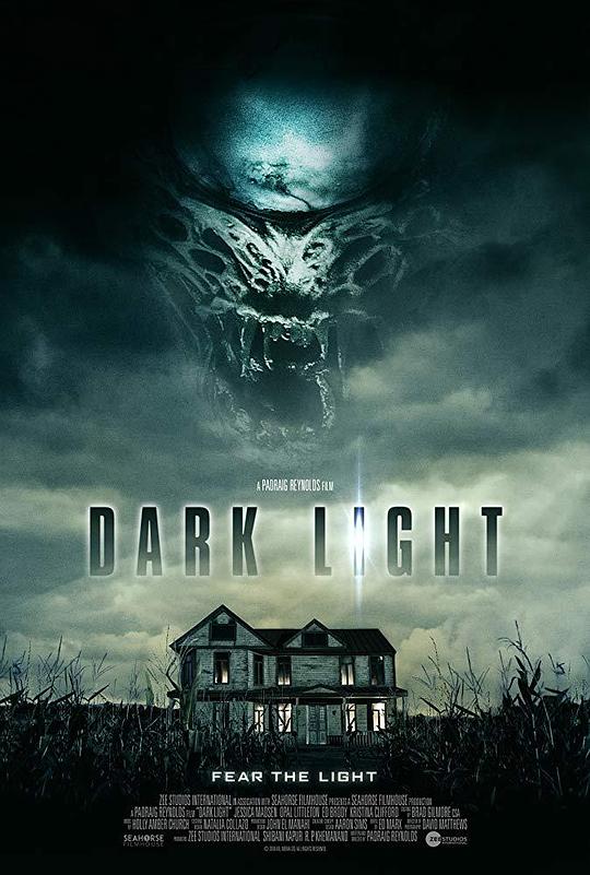 暗夜凶光Dark Light(2019)插图%4K电影下载_3D影视资源_杜比视界迅雷下载