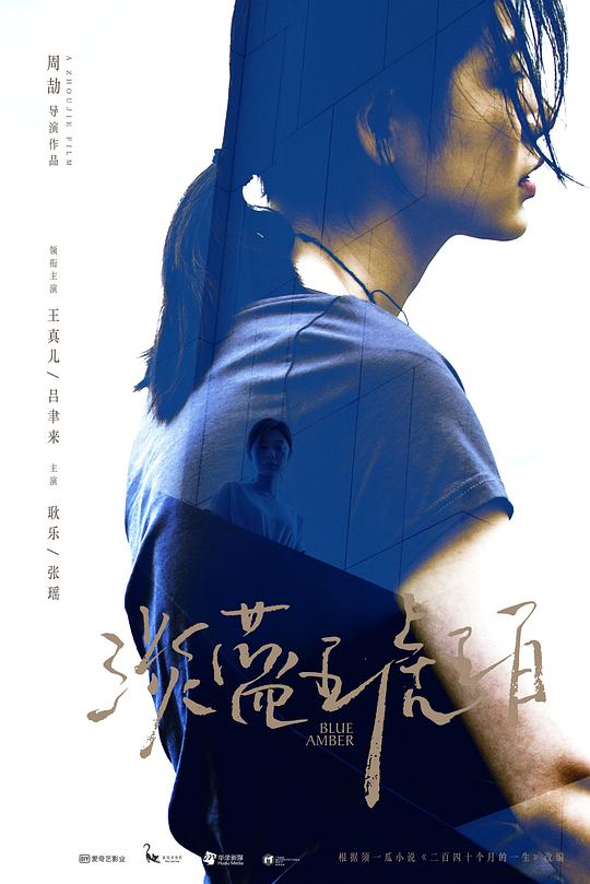 淡蓝琥珀Blue Amber(2018)插图%4K电影下载_3D影视资源_杜比视界迅雷下载