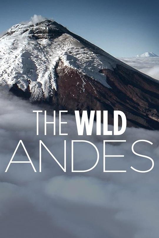 安第斯山脉The Wild Andes(2018)插图%4K电影下载_3D影视资源_杜比视界迅雷下载