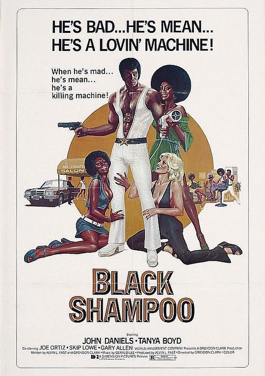 黑香波Black Shampoo(1976)插图%4K电影下载_3D影视资源_杜比视界迅雷下载