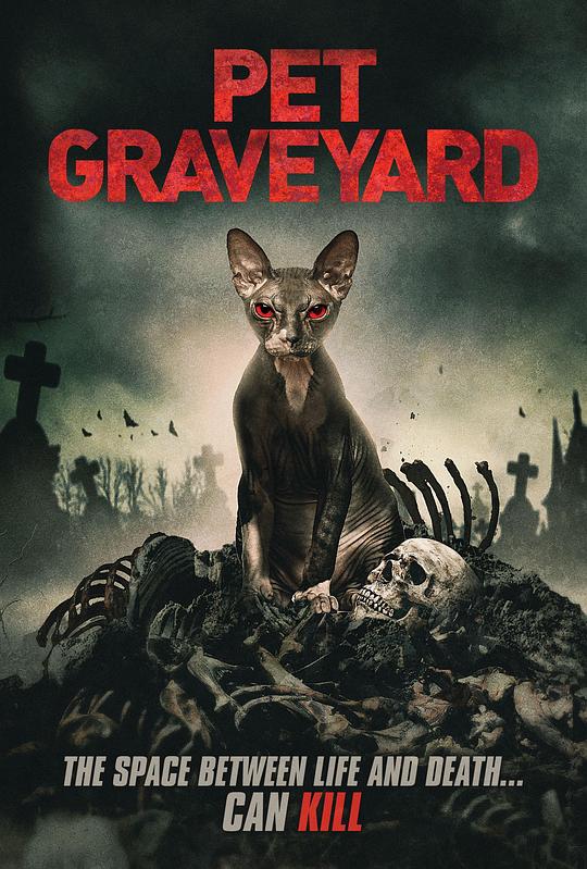 宠物坟墓Pet Graveyard(2019)插图%4K电影下载_3D影视资源_杜比视界迅雷下载