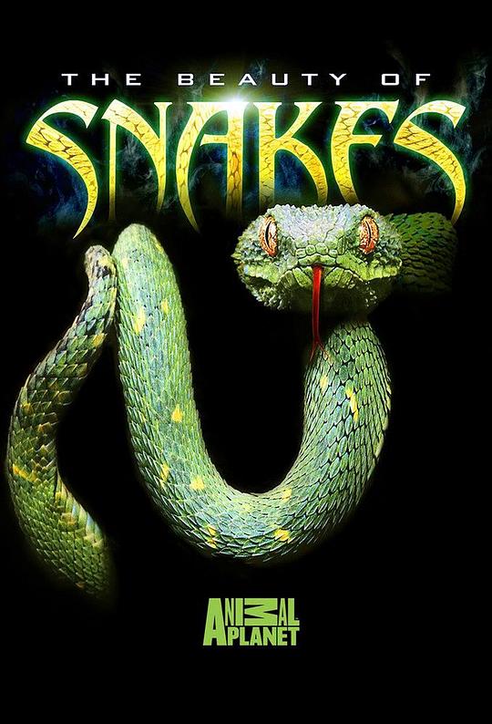 蛇之惊艳奇观Beauty of Snakes(2003)插图%4K电影下载_3D影视资源_杜比视界迅雷下载