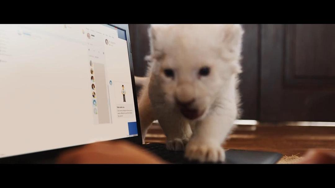 白狮White Lion(2010)插图1%4K电影下载_3D影视资源_杜比视界迅雷下载