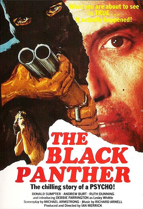 黑豹The Black Panther(1977)插图%4K电影下载_3D影视资源_杜比视界迅雷下载