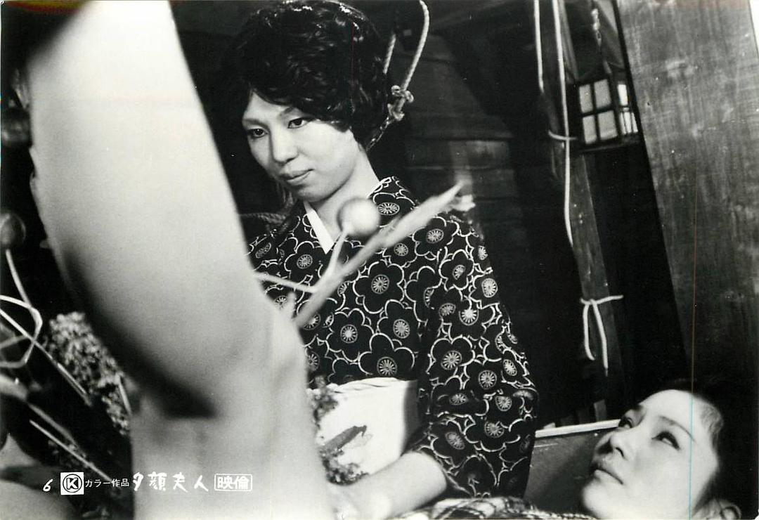 夕顔夫人Yugao fujin(1976)插图1%4K电影下载_3D影视资源_杜比视界迅雷下载