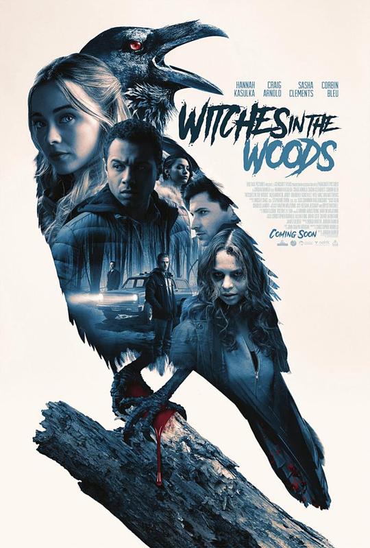 森林中的女巫Witches in the Woods(2019)插图%4K电影下载_3D影视资源_杜比视界迅雷下载