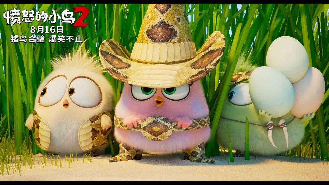 愤怒的小鸟2The Angry Birds Movie 2(2019)插图2%4K电影下载_3D影视资源_杜比视界迅雷下载