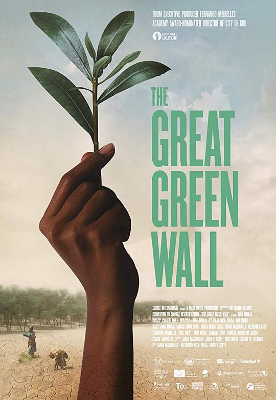 绿色长城The Great Green Wall(2019)插图%4K电影下载_3D影视资源_杜比视界迅雷下载