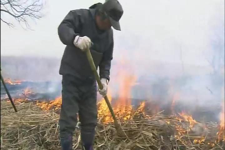 映像诗：日本里山神秘水上花园Satoyama: Japan’s Secret Water Garden(2005)插图2%4K电影下载_3D影视资源_杜比视界迅雷下载