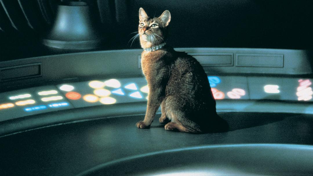 鬼马太空猫The Cat from Outer Space(1978)插图1%4K电影下载_3D影视资源_杜比视界迅雷下载