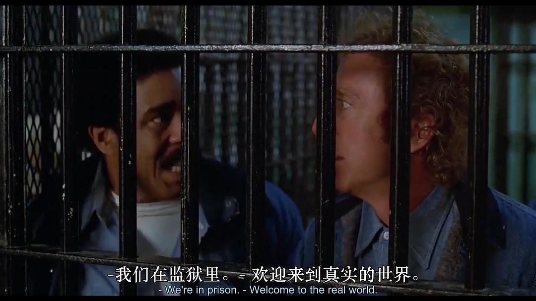 油腔滑调Stir Crazy(1980)插图1%4K电影下载_3D影视资源_杜比视界迅雷下载