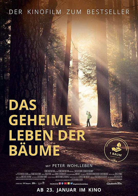 树的秘密生命Das geheime Leben der Bäume(2020)插图%4K电影下载_3D影视资源_杜比视界迅雷下载