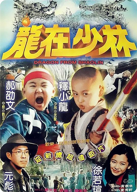 龙在少林Dragon from Shaolin(1996)插图%4K电影下载_3D影视资源_杜比视界迅雷下载