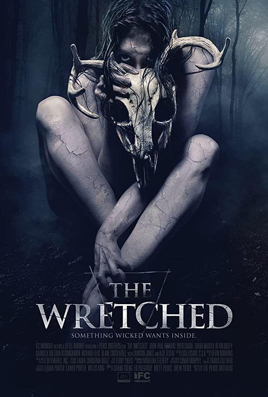 森林恶鬼The Wretched(2019)插图%4K电影下载_3D影视资源_杜比视界迅雷下载