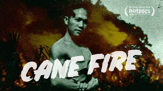 甘林之火Cane Fire(2020)插图%4K电影下载_3D影视资源_杜比视界迅雷下载