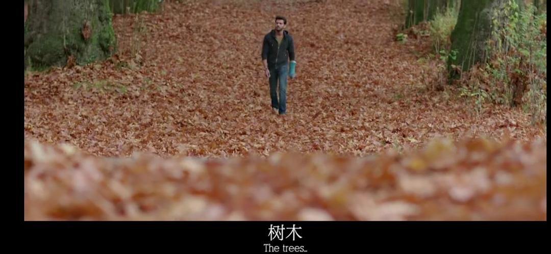 笔记本Notebook(2019)插图1%4K电影下载_3D影视资源_杜比视界迅雷下载