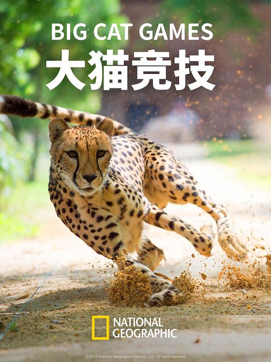 大猫竞技(2016)插图%4K电影下载_3D影视资源_杜比视界迅雷下载