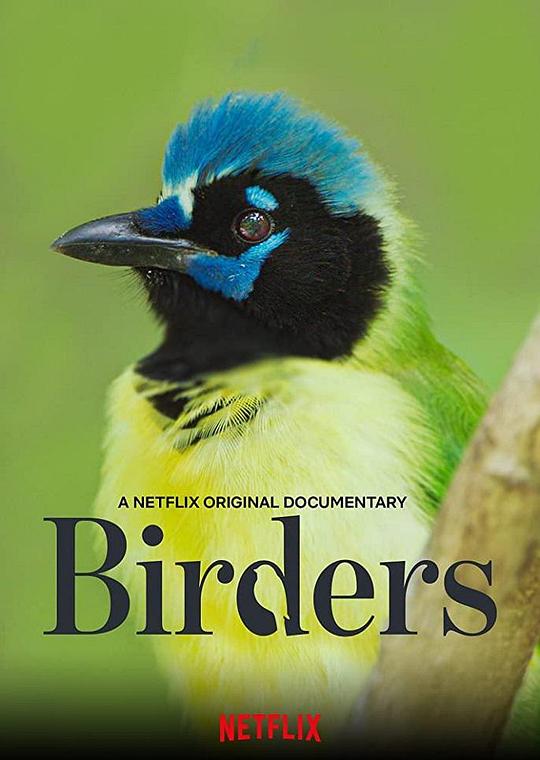 观鸟者Birders(2019)插图%4K电影下载_3D影视资源_杜比视界迅雷下载