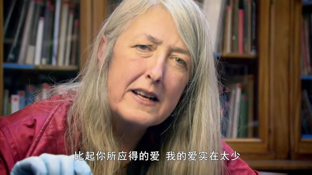 相约古罗马Meet the Romans with Mary Beard(2012)插图1%4K电影下载_3D影视资源_杜比视界迅雷下载