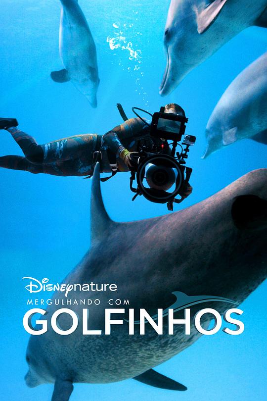 《海豚礁》幕后特辑Diving with Dolphins(2020)插图%4K电影下载_3D影视资源_杜比视界迅雷下载