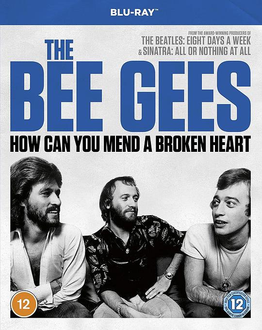 比吉斯：如何修复受伤心灵The Bee Gees: How Can You Mend a Broken Heart(2020)插图%4K电影下载_3D影视资源_杜比视界迅雷下载