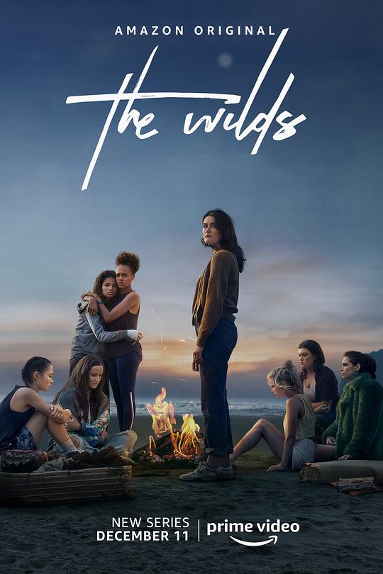 荒野The Wilds(2020 – 2022)插图%4K电影下载_3D影视资源_杜比视界迅雷下载