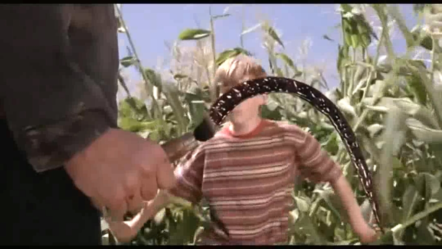 玉米田的小孩5Children of the Corn V: Fields of Terror(1998)插图1%4K电影下载_3D影视资源_杜比视界迅雷下载