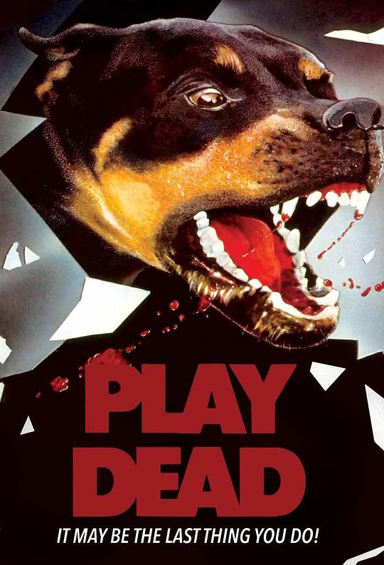 假死疑云Play Dead(1983)插图%4K电影下载_3D影视资源_杜比视界迅雷下载