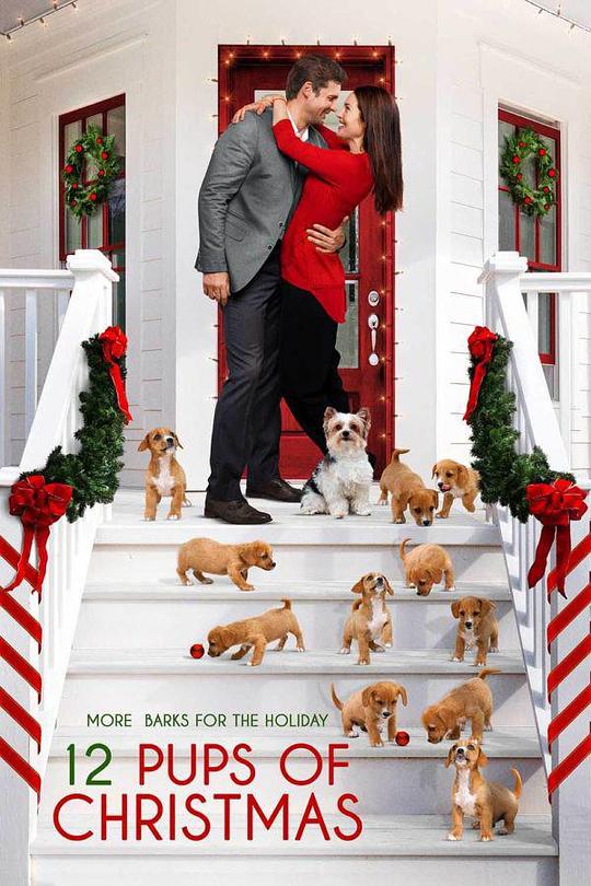 12 Pups of Christmas12 Pups of Christmas(2019)插图%4K电影下载_3D影视资源_杜比视界迅雷下载