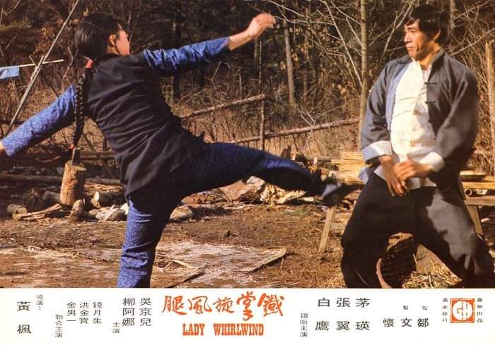 铁掌旋风腿Tie zhang xuan feng tui(1972)插图1%4K电影下载_3D影视资源_杜比视界迅雷下载