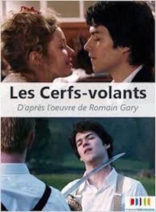 Les cerfs-volantsLes cerfs-volants(2007)插图%4K电影下载_3D影视资源_杜比视界迅雷下载