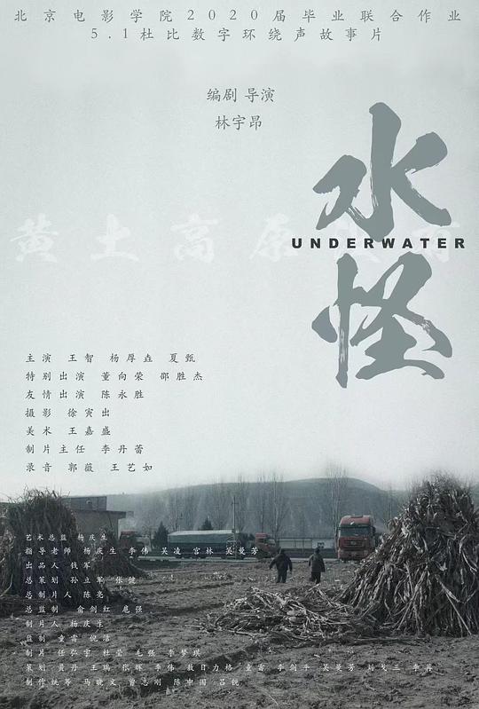 水怪2：黑木林(2021)插图%4K电影下载_3D影视资源_杜比视界迅雷下载