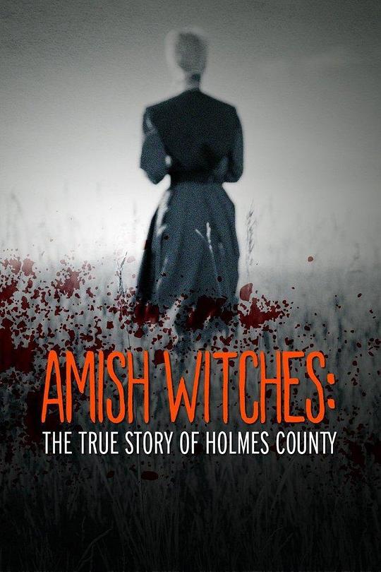 阿米什巫师-霍尔姆斯县写实Amish Witches: The True Story of Holmes County(2016)插图%4K电影下载_3D影视资源_杜比视界迅雷下载