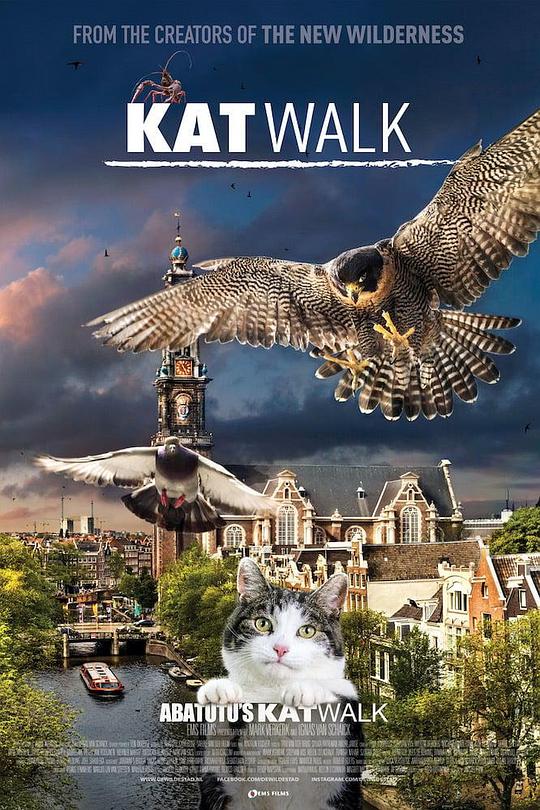 阿姆斯特丹猫未眠Katwalk(2020)插图%4K电影下载_3D影视资源_杜比视界迅雷下载