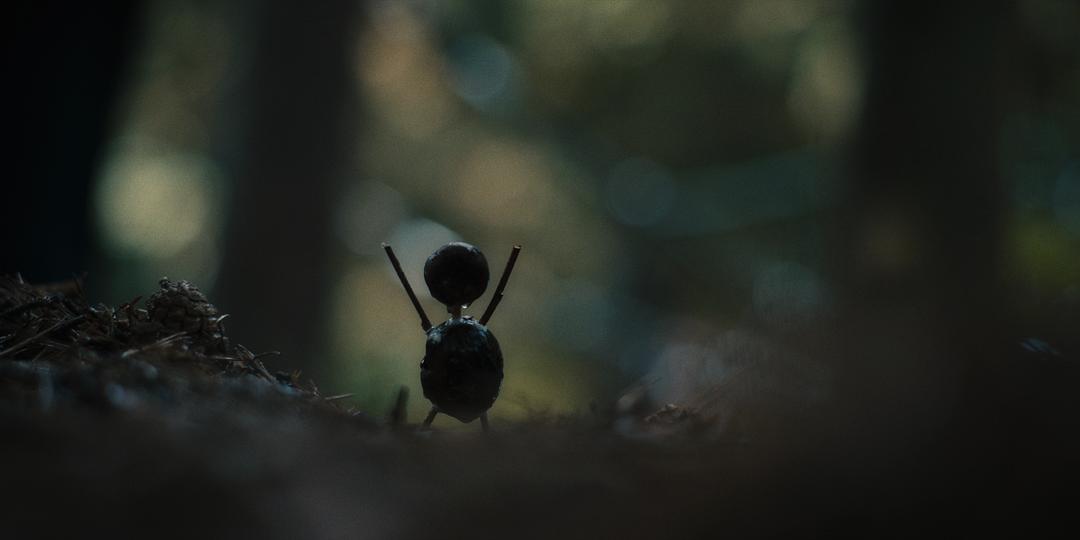 寒栗The Chestnut Man(2021)插图1%4K电影下载_3D影视资源_杜比视界迅雷下载