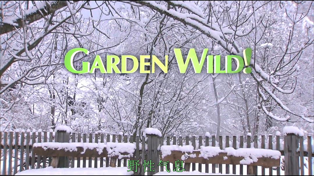 野性花园Garden Wild!(2015)插图1%4K电影下载_3D影视资源_杜比视界迅雷下载